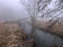 Obszary chronionego krajobrazu