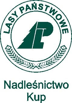 Standard ochrony małoletnich w Nadleśnictwie Kup