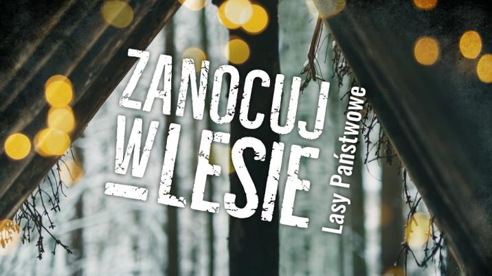 Zanocuj  w lesie LP