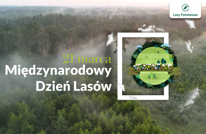 Na&#x20;tle&#x20;lasu&#x20;grafika&#x20;z&#x20;logo&#x20;Międzynarodowego&#x20;Dnia&#x20;Lasów&#x2c;&#x20;napis&#x20;&#x22;21&#x20;marca&#x20;Międzynarodowy&#x20;Dzień&#x20;Lasów&#x22;&#x20;oraz&#x20;logo&#x20;Lasów&#x20;Państwowych